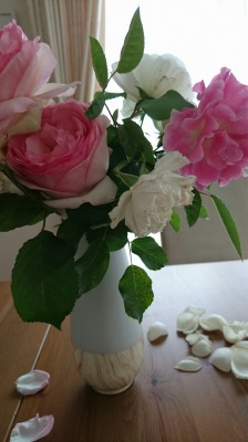 良きモデルを見つける _d0240469_9385046.jpg