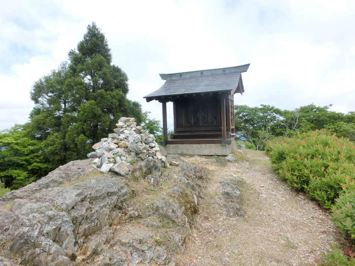 No468 ドウザンツツジ咲く福井頭巾山（ときんざん）_b0185573_65975.jpg