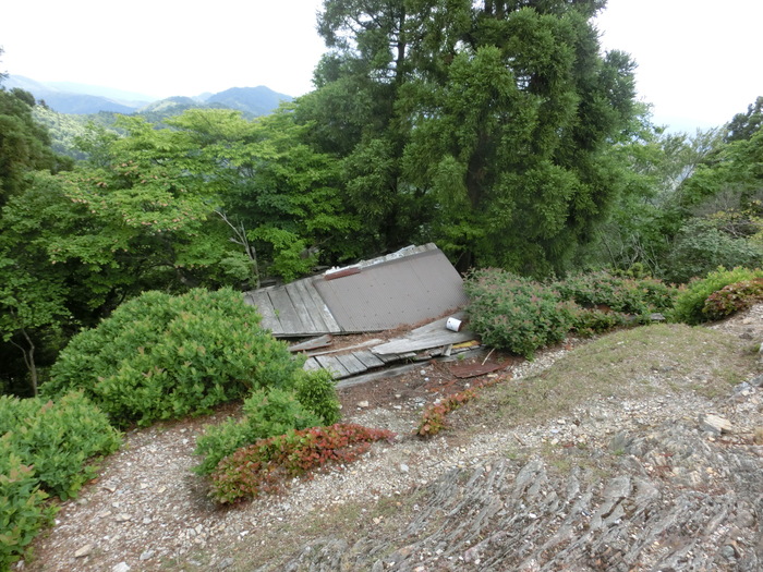 No468 ドウザンツツジ咲く福井頭巾山（ときんざん）_b0185573_7259.jpg