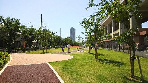 e0020682_1102596.jpg