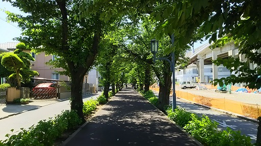 e0020682_113071.jpg