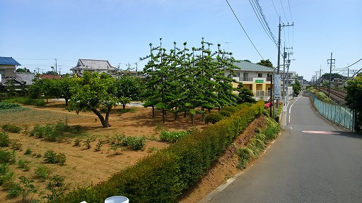 e0020682_11332549.jpg