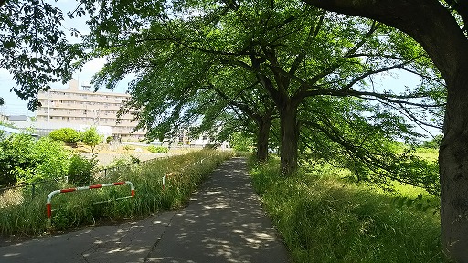 e0020682_11405498.jpg
