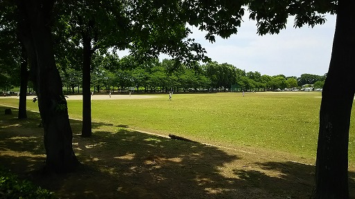 e0020682_11502832.jpg
