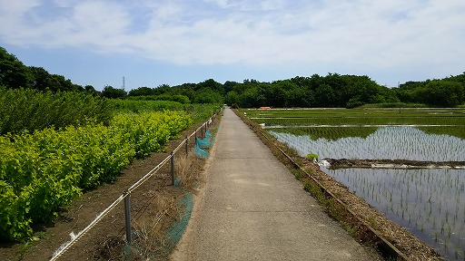 e0020682_11514969.jpg