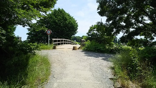 e0020682_11521855.jpg