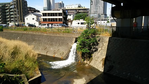 e0020682_1152187.jpg