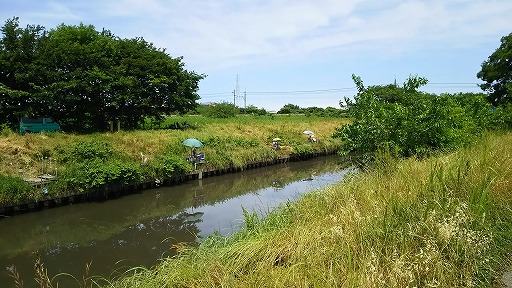 e0020682_11541222.jpg