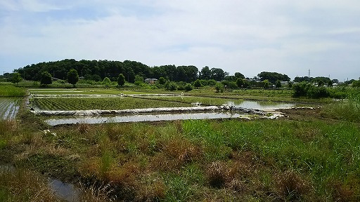 e0020682_1321174.jpg