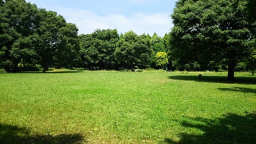 e0020682_13292256.jpg