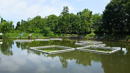 e0020682_1330596.jpg