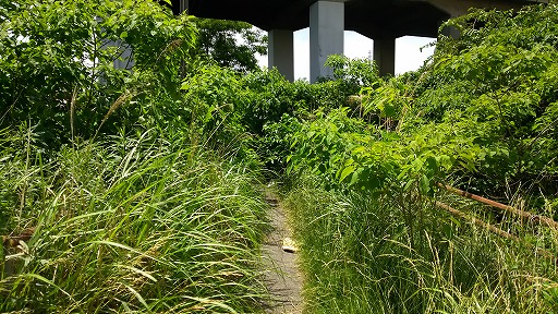 e0020682_13462695.jpg