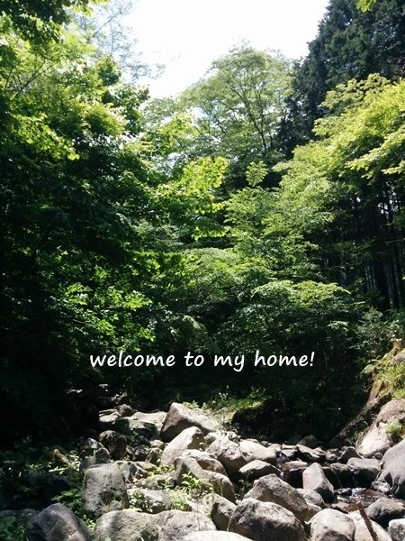 穴場キャンプ場 公営キャンプ場は 格安な上に空いてるーーー Welcome To My Home 穴場キャンプ場 公営キャンプ場は 格安な上に空いてるーーー Welcome To My Home