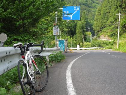 スタジオ撮影の後には........当たり前ですが元気に走り回って......._b0194185_14584212.jpg