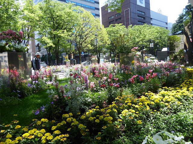 横浜は100万本の花であふれてた♪キング〈神奈川県庁本庁舎）の屋上の眺め_b0287088_20572195.jpg