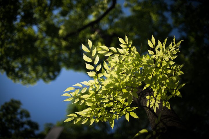 d0353489_18311542.jpg