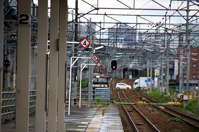 藤田八束の鉄道写真@紫陽花の綺麗な季節、ガーデニング・・・我が家の庭にアジサイが咲きます_d0181492_22120899.jpg