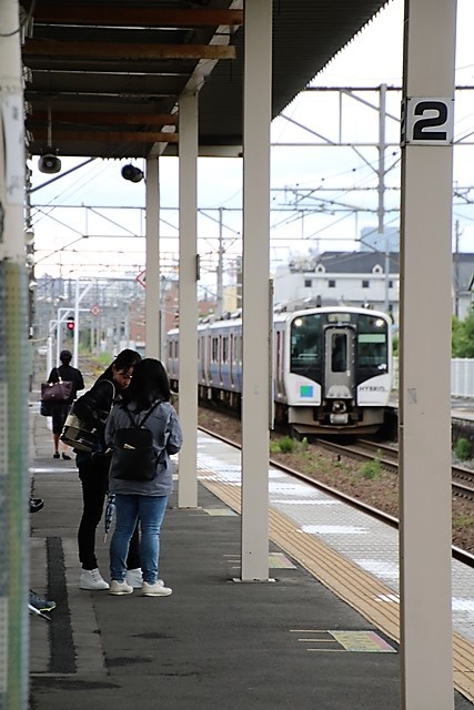 藤田八束の鉄道写真@紫陽花の綺麗な季節、ガーデニング・・・我が家の庭にアジサイが咲きます_d0181492_22141540.jpg