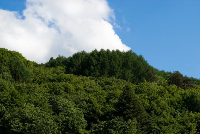 d0143700_07255123.jpg