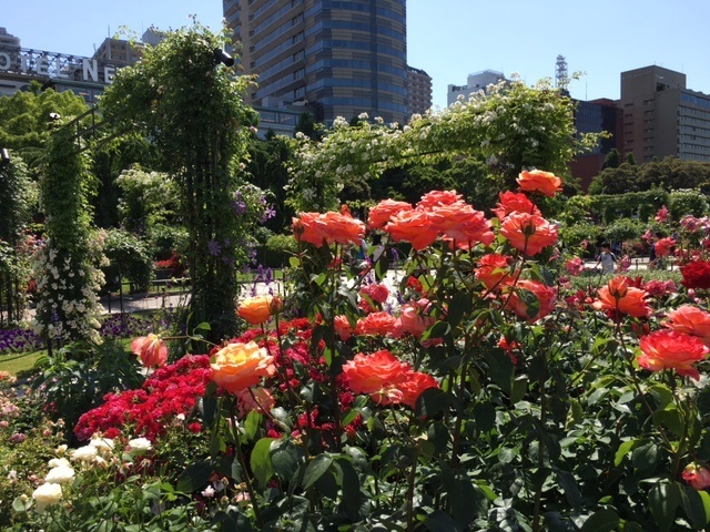 a0123003_21485906.jpg