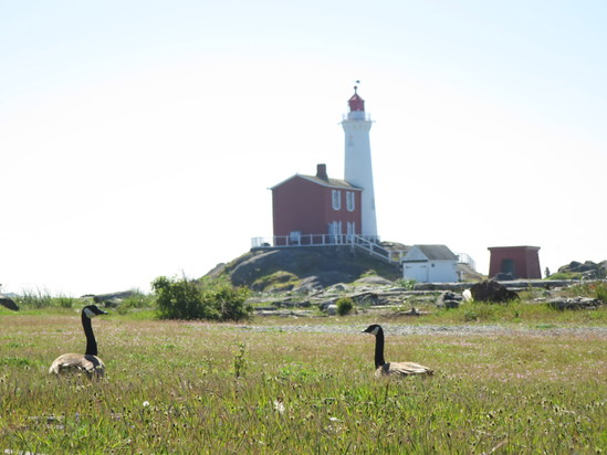 ヴィクトリアひとり旅☆（その１）Fort Rodd Hill and Fisgard Lighthouse_c0212604_602023.jpg