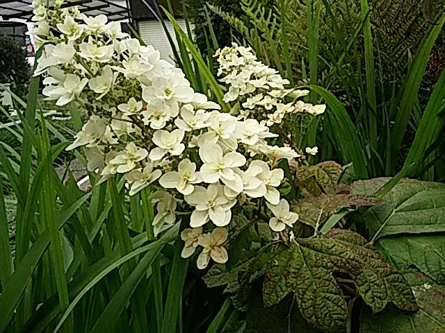 f0231709_21500631.jpg
