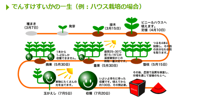 f0231709_22293918.png