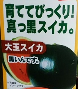 f0231709_22411643.png
