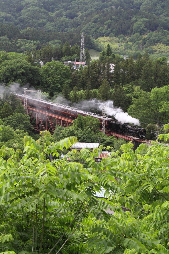 新緑にょきにょき - 2017年初夏・秩父 -_b0190710_22502824.jpg