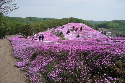 最終東藻琴村〜〜芝桜祭りから〜〜！_d0200811_20334742.jpg