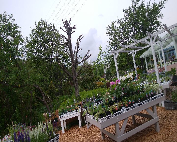 b0248920_13484120.jpg