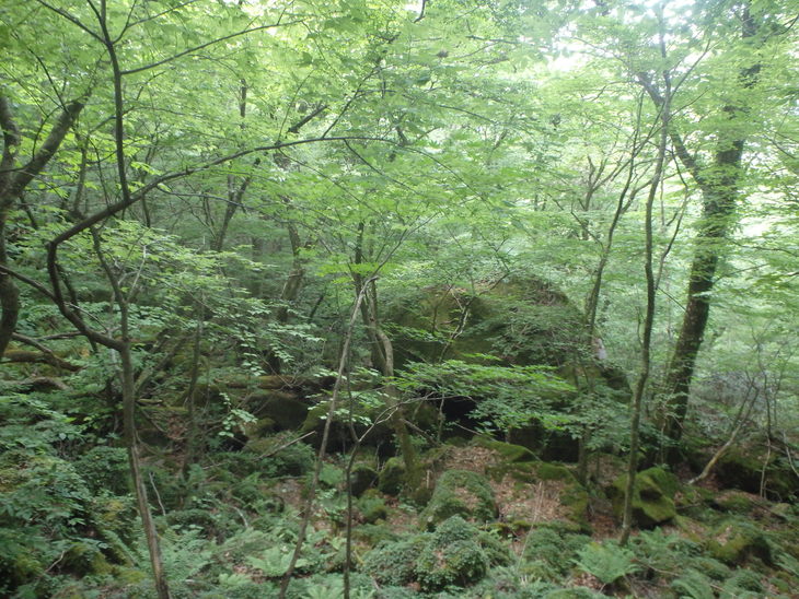 f0193521_43727.jpg
