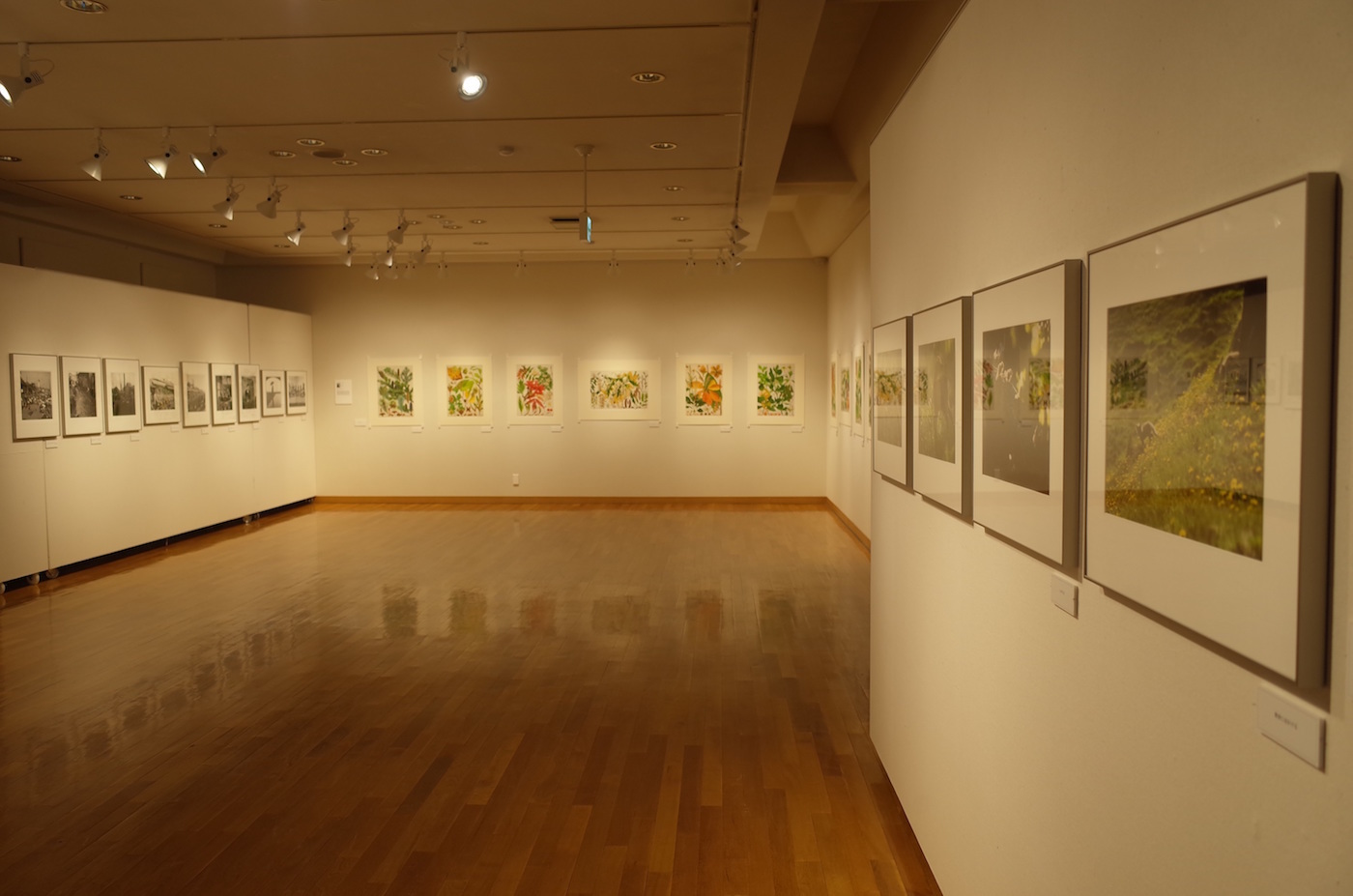 東川町文化ギャラリー展示情報_b0187229_19441713.jpg