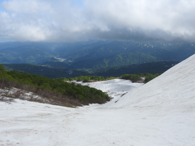 月山だより6/5・花が咲き始めました_f0118332_22301175.jpg