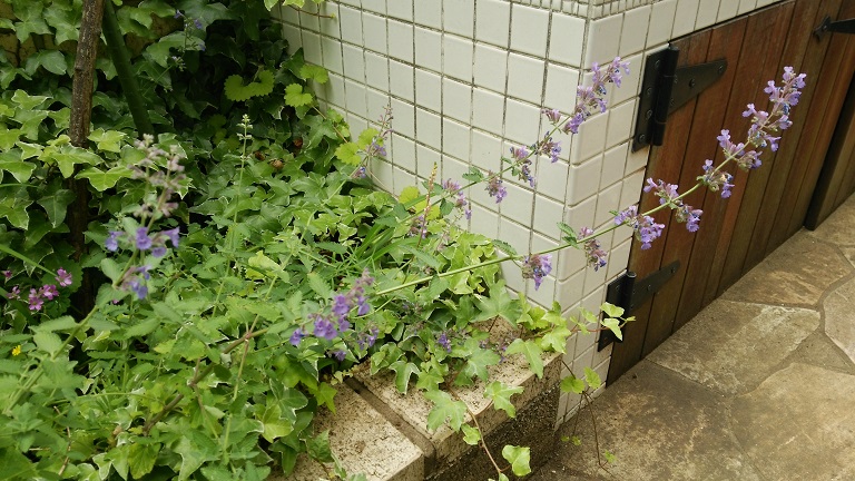 f0002833_12124328.jpg