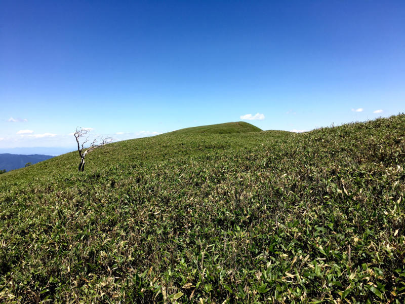 c0110236_21524337.jpg