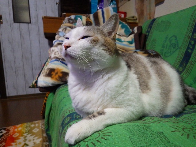 a0337237_14102722.jpg