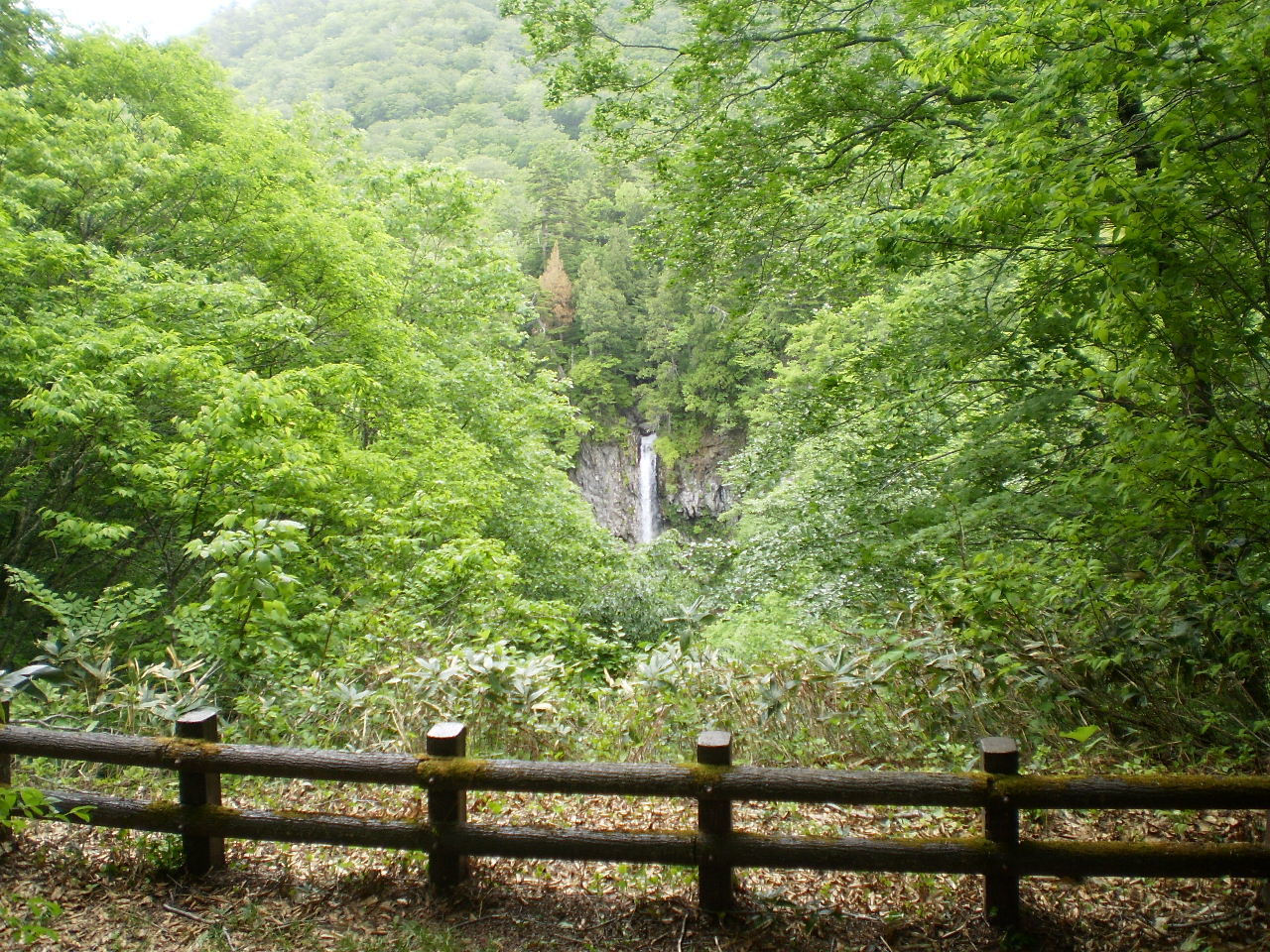 f0363741_10561966.jpg