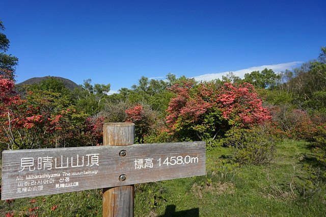 b0122448_07194525.jpg