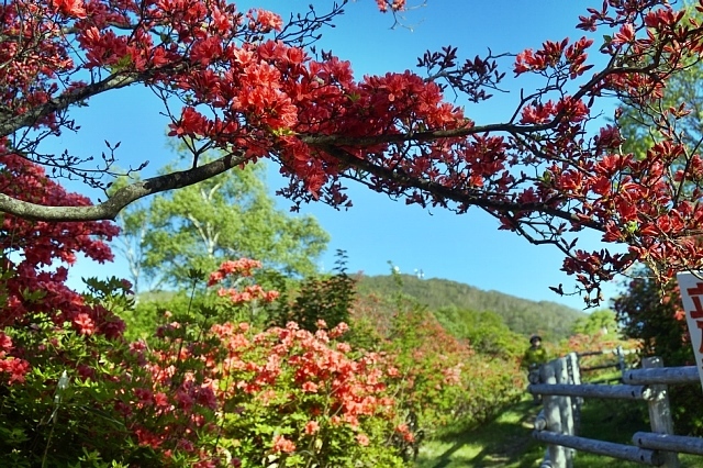 b0122448_07203789.jpg