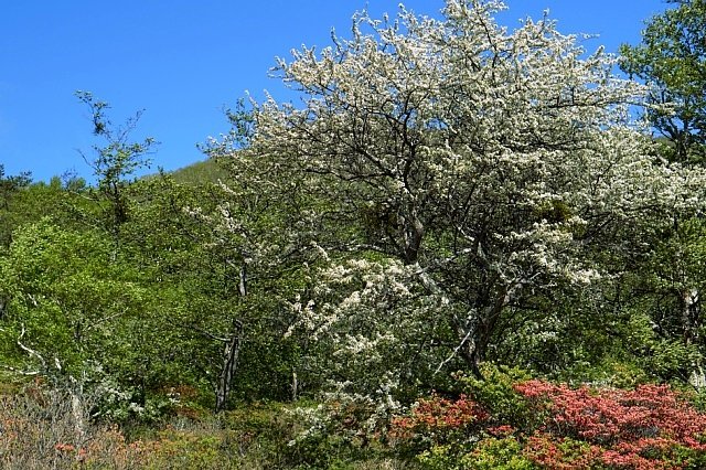 b0122448_07234222.jpg
