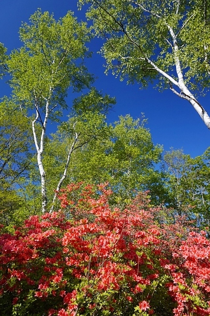 b0122448_07254405.jpg