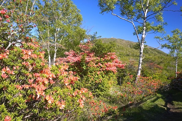 b0122448_07551125.jpg