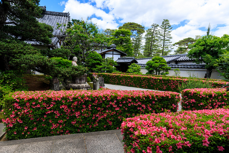 妙心寺塔頭・慈雲院のサツキ_f0155048_2315196.jpg