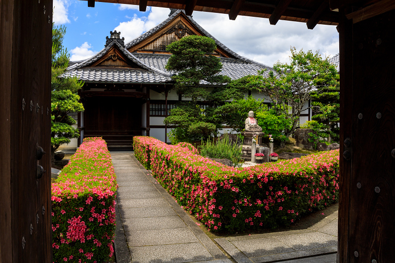 妙心寺塔頭・慈雲院のサツキ_f0155048_23152211.jpg