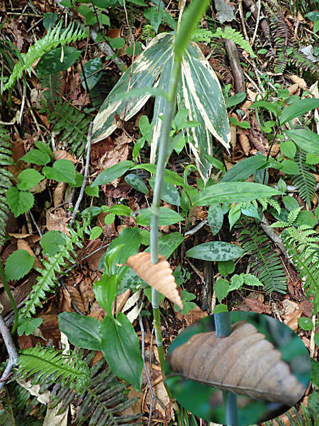 f0214649_01311428.jpg