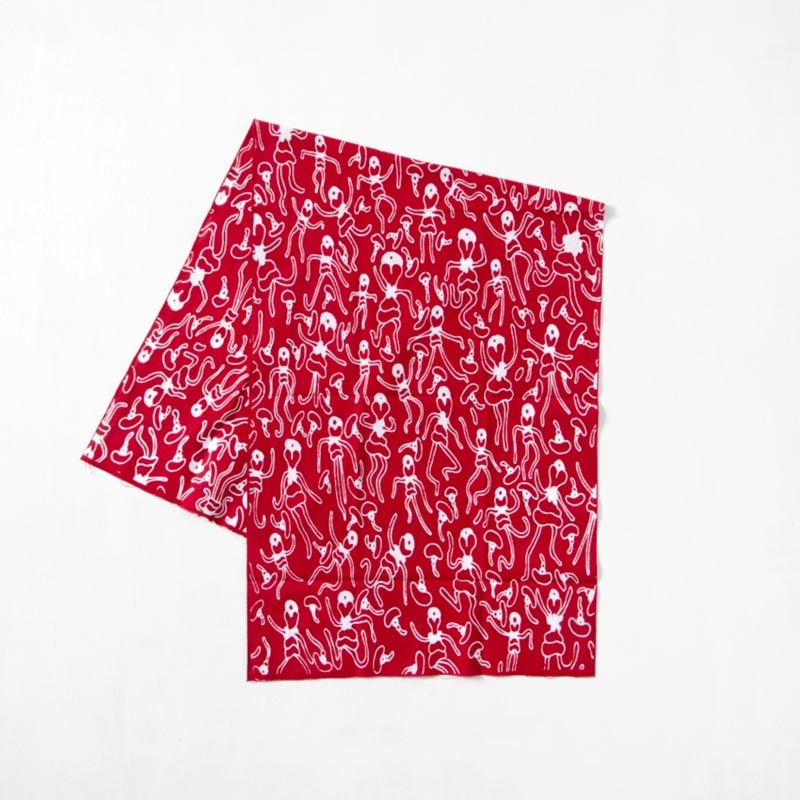 FUJI RECORDS POP UP STORE in PLAIN (山口）のご案内 blog >> FUJI RECORDS / Lodge ALASKA