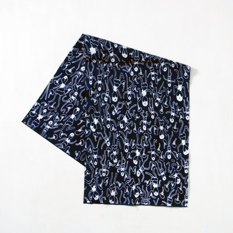 FUJI RECORDS POP UP STORE in PLAIN (山口）のご案内 blog >> FUJI RECORDS / Lodge ALASKA