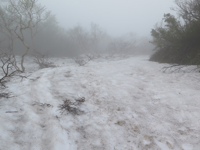 2017年6月4日　人形山･三ヶ辻山（富山県南砺市）_c0116856_19562694.jpg