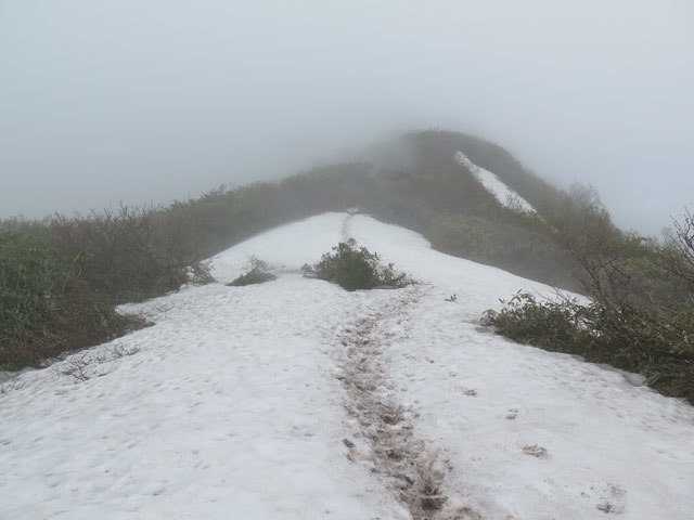 2017年6月4日　人形山･三ヶ辻山（富山県南砺市）_c0116856_19565259.jpg